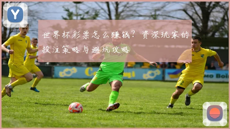 世界杯彩票怎么赚钱？资深玩家的投注策略与避坑攻略