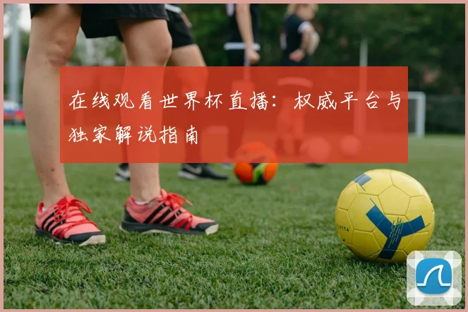 在线观看世界杯直播：权威平台与独家解说指南