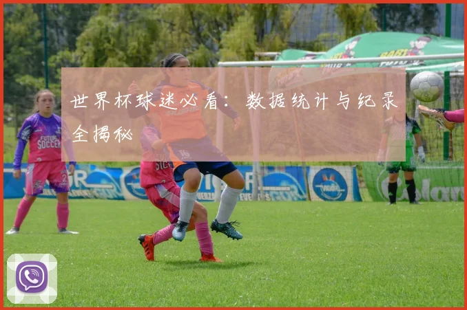 世界杯球迷必看：数据统计与纪录全揭秘